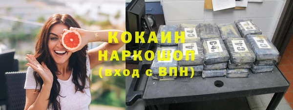 стафф Бородино