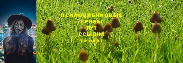 стафф Бородино