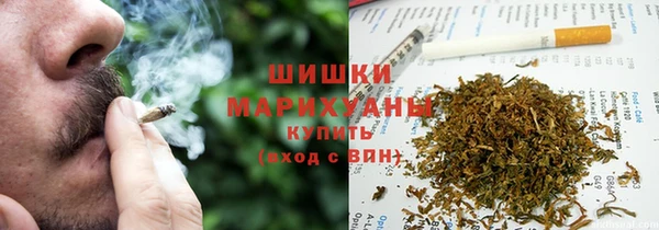 стафф Бородино