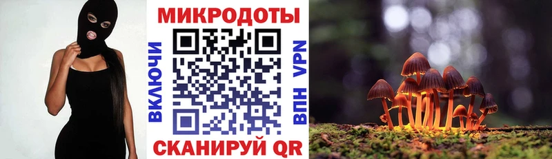 OMG зеркало  Санкт-Петербург  Галлюциногенные грибы GOLDEN TEACHER 